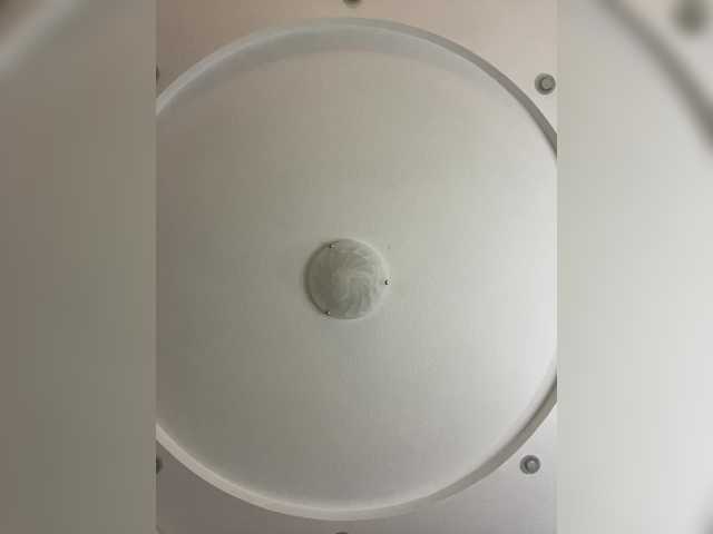 Foto erotica #463718 pe KUR.ro