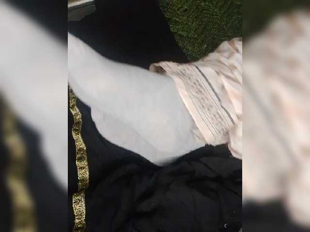 Foto erotica 5232801