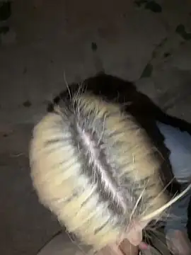 Foto erotica #2924528 pe KUR.ro