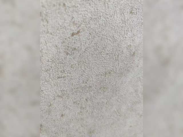 Foto erotica #1287088 pe KUR.ro