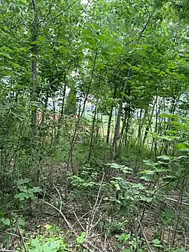 Foto erotica #3375177 pe KUR.ro