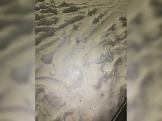 Foto porno Fantezii cu Daisy12321 pe BongaCams pe KUR.ro