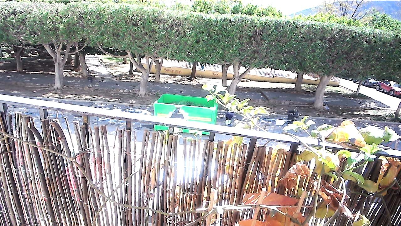 Foto erotica 3224074