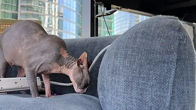 Foto erotica #398058 pe KUR.ro