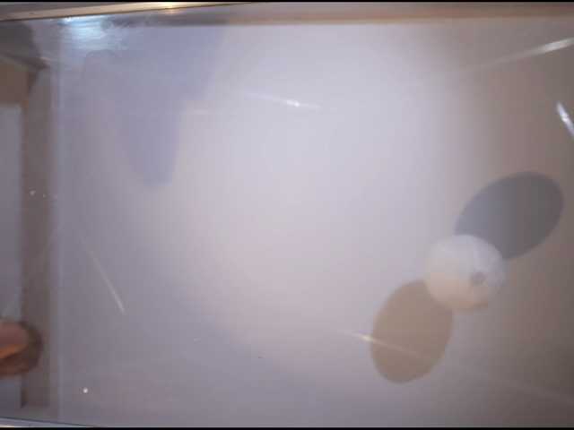 Foto erotica #1366119 pe KUR.ro