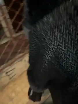 Foto erotica #3077181 pe KUR.ro