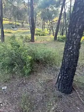 Foto erotica 3344455