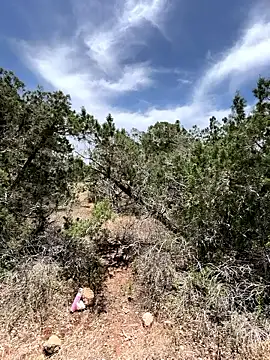 Foto erotica 3563758