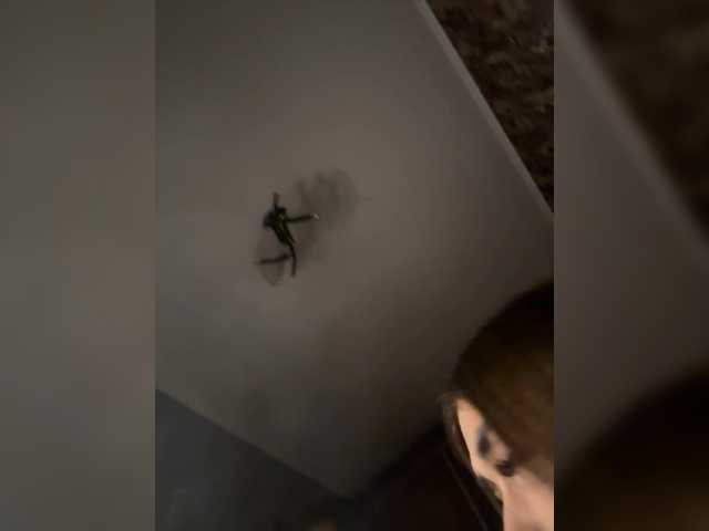 Foto erotica 1907109