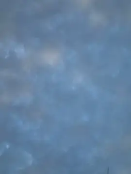 Foto erotica 3940372