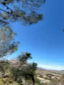 Foto erotica #3026464 pe KUR.ro