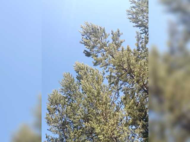 Foto erotica 3361804