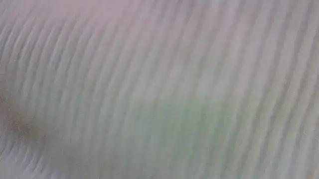 Foto erotica 4082867