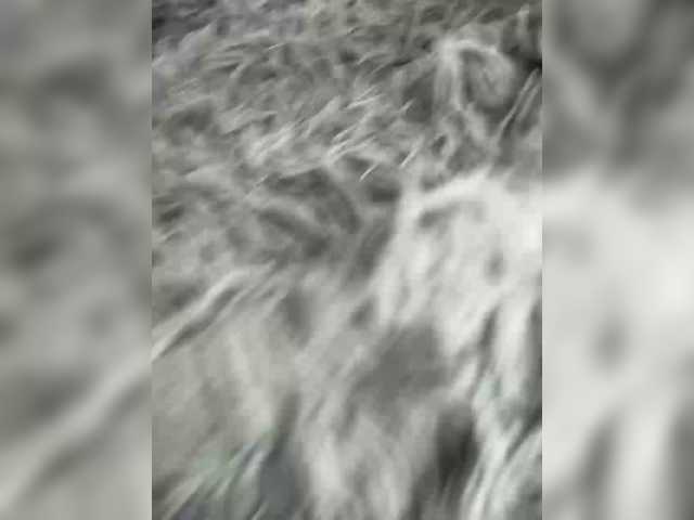 Foto erotica 1877502