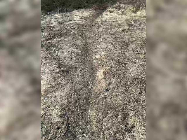 Foto erotica #2955838 pe KUR.ro