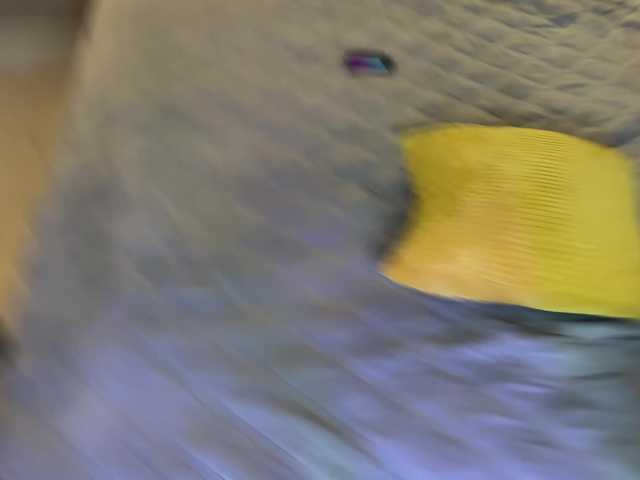 Foto erotica 1140969