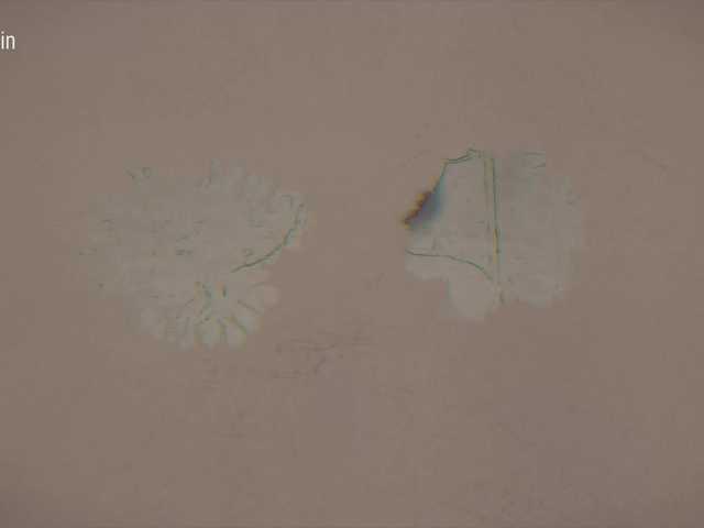 Foto erotica 1824693