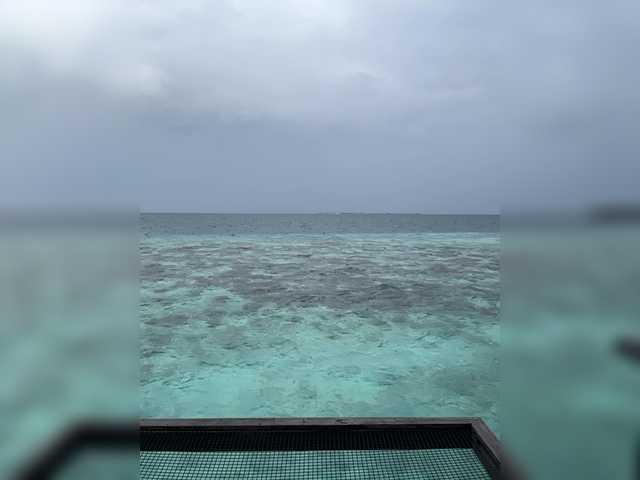 Foto porno Taanni ne arata tot la camera pe KUR.ro