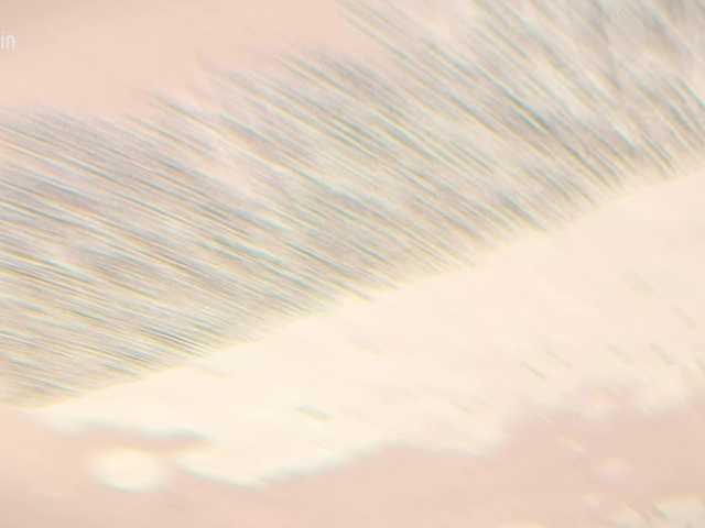 Foto porno Taanni ne arata tot la camera pe KUR.ro