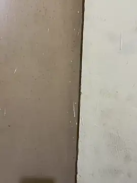 Foto erotica #2594410 pe KUR.ro