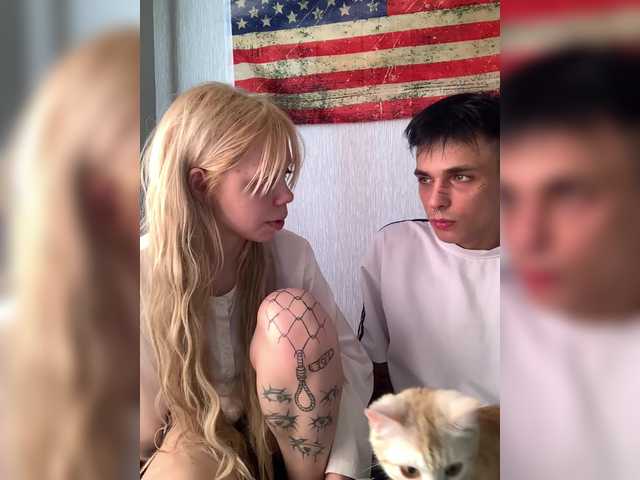 Foto porno Nebunii pe chat marca Whiskasks pe KUR.ro