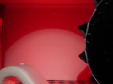 Foto porno _meganmeow_ descoperita pe video chat pe KUR.ro