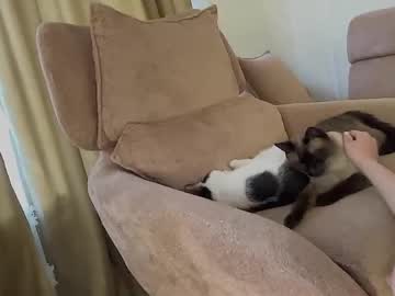 Foto erotica #3117238 pe KUR.ro