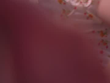 Foto erotica #2406130 pe KUR.ro