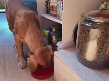 Foto erotica 3355815