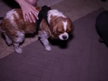 Foto erotica #3279358 pe KUR.ro