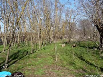 Foto erotica #2758648 pe KUR.ro