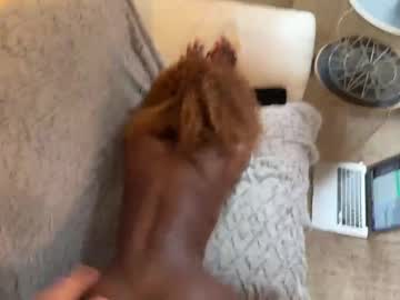 Foto erotica 3261386