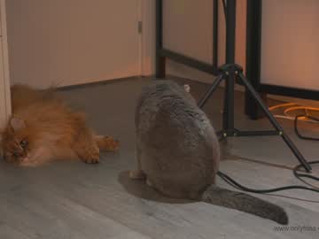 Foto erotica #2514732 pe KUR.ro