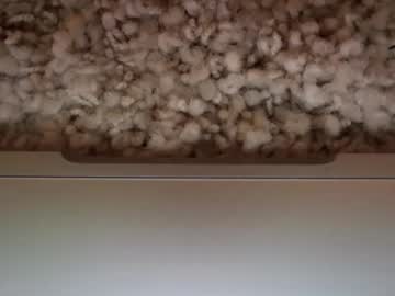 Foto erotica 1812540