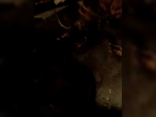 Foto erotica #2681011 pe KUR.ro