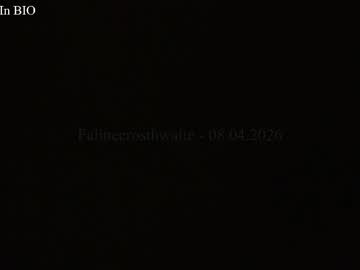 Foto erotica #3138624 pe KUR.ro