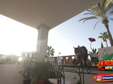 Foto erotica #3005995 pe KUR.ro