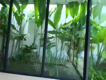 Foto porno Sex online cu harleyysummers pe KUR.ro