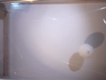 Poza Erotica #1365858 - Dimensiune completa