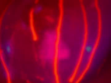 Foto erotica 1800288