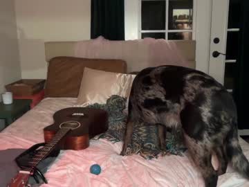 Foto erotica #2589195 pe KUR.ro