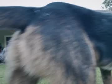 Foto porno kaileeshy ne arata tot la camera pe KUR.ro