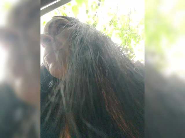Foto erotica 1920205