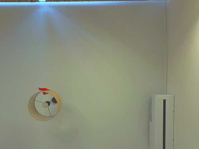 Foto erotica #3117347 pe KUR.ro