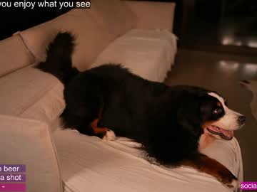 Foto erotica #2340900 pe KUR.ro