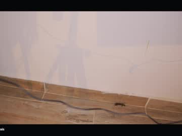 Foto erotica 3181872