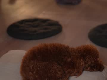 Foto erotica #1305638 pe KUR.ro