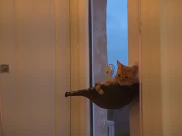 Foto erotica 3366887