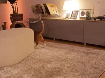 Foto erotica #1553675 pe KUR.ro