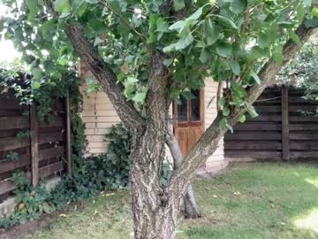 Foto erotica #923932 pe KUR.ro